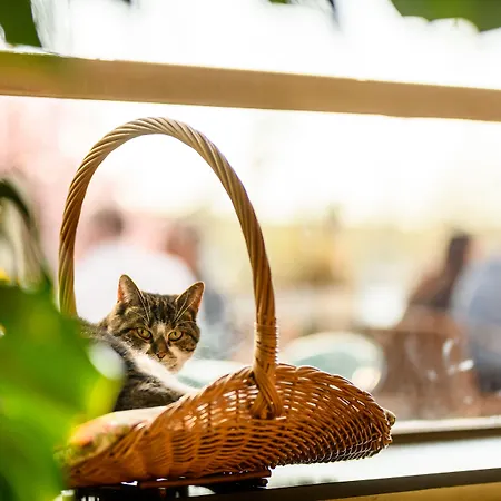 Hotel Homeland Amesterdão