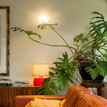 Homeland 3* Amesterdão