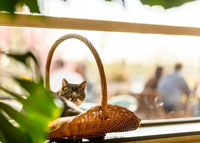 Hotel Homeland Amsterdam